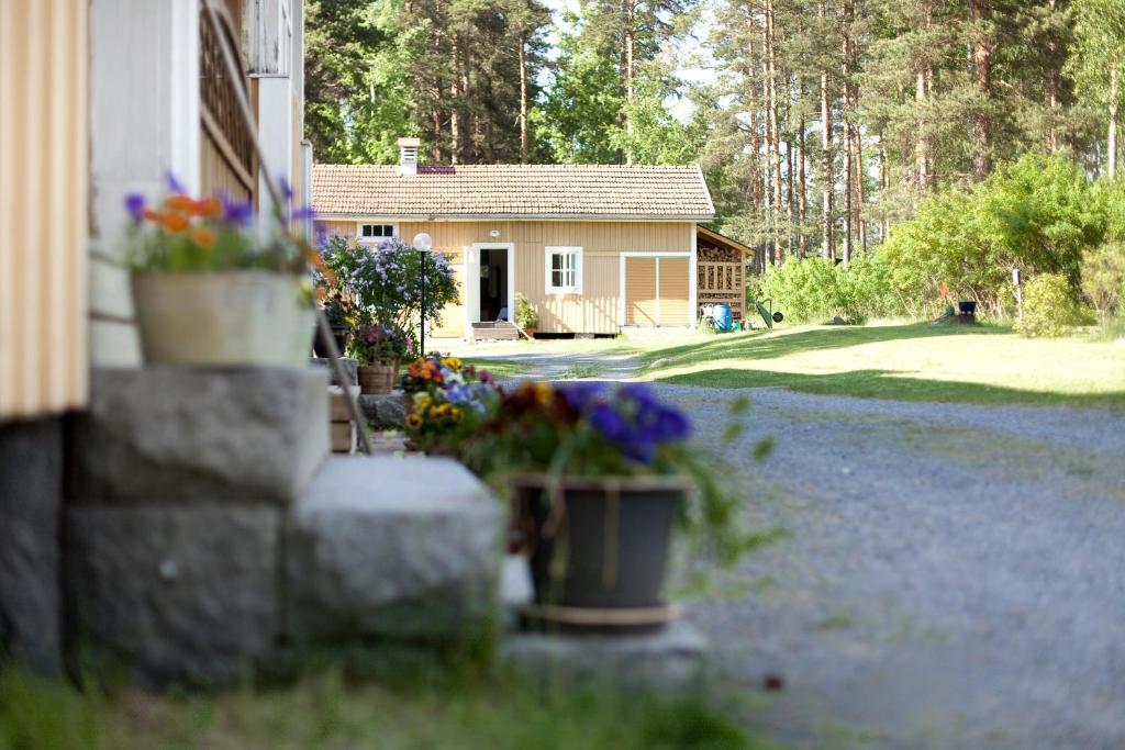 B&B Pinus Mäntyharju Kültér fotó