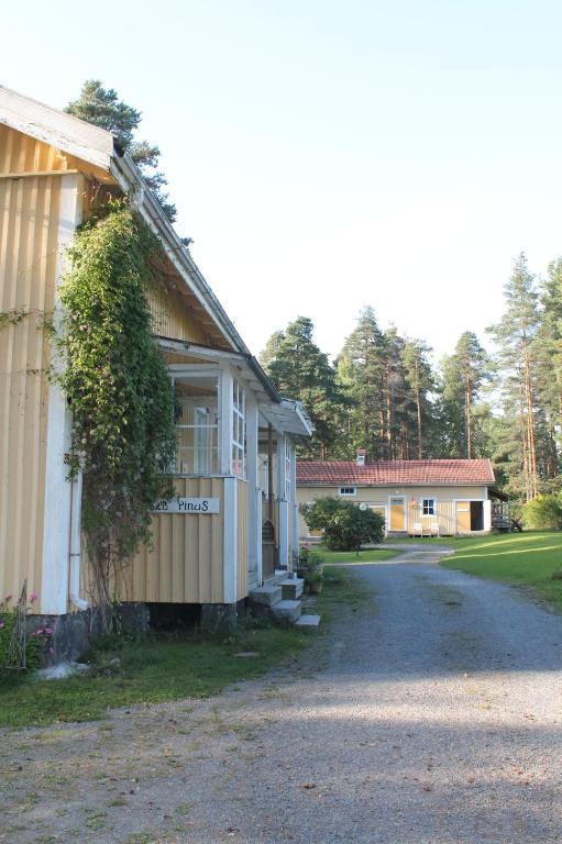 B&B Pinus Mäntyharju Kültér fotó